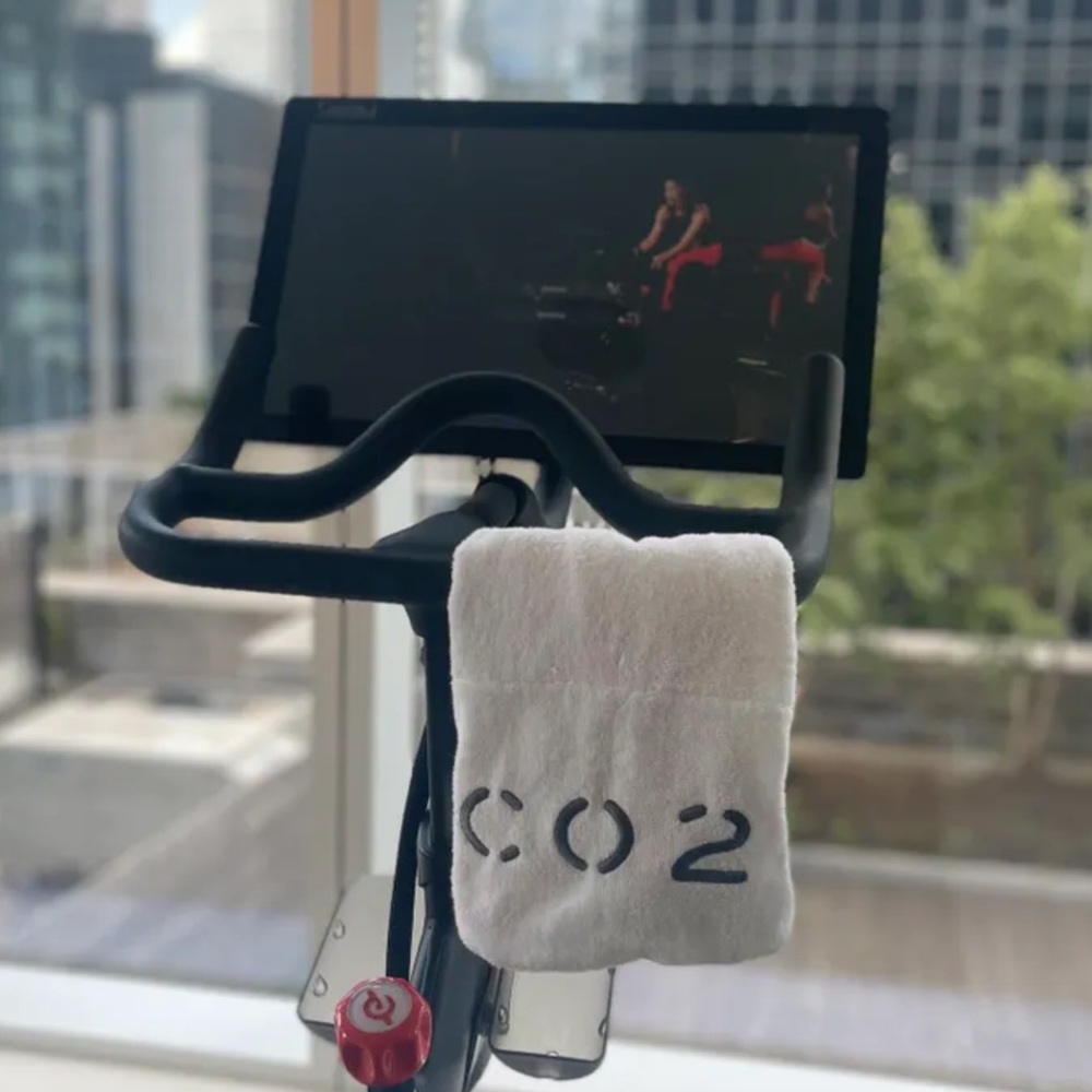 NWT The Cloud Gym Towel with Hidden Pocket